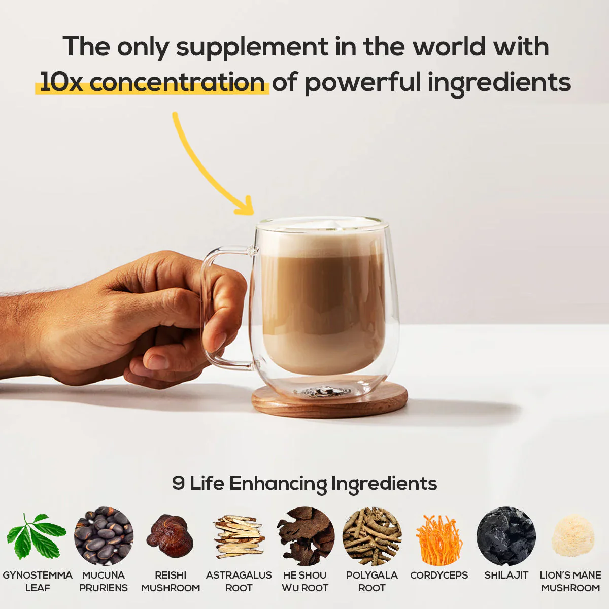 ALCAMI ELEMENTS CACAO - Image 4