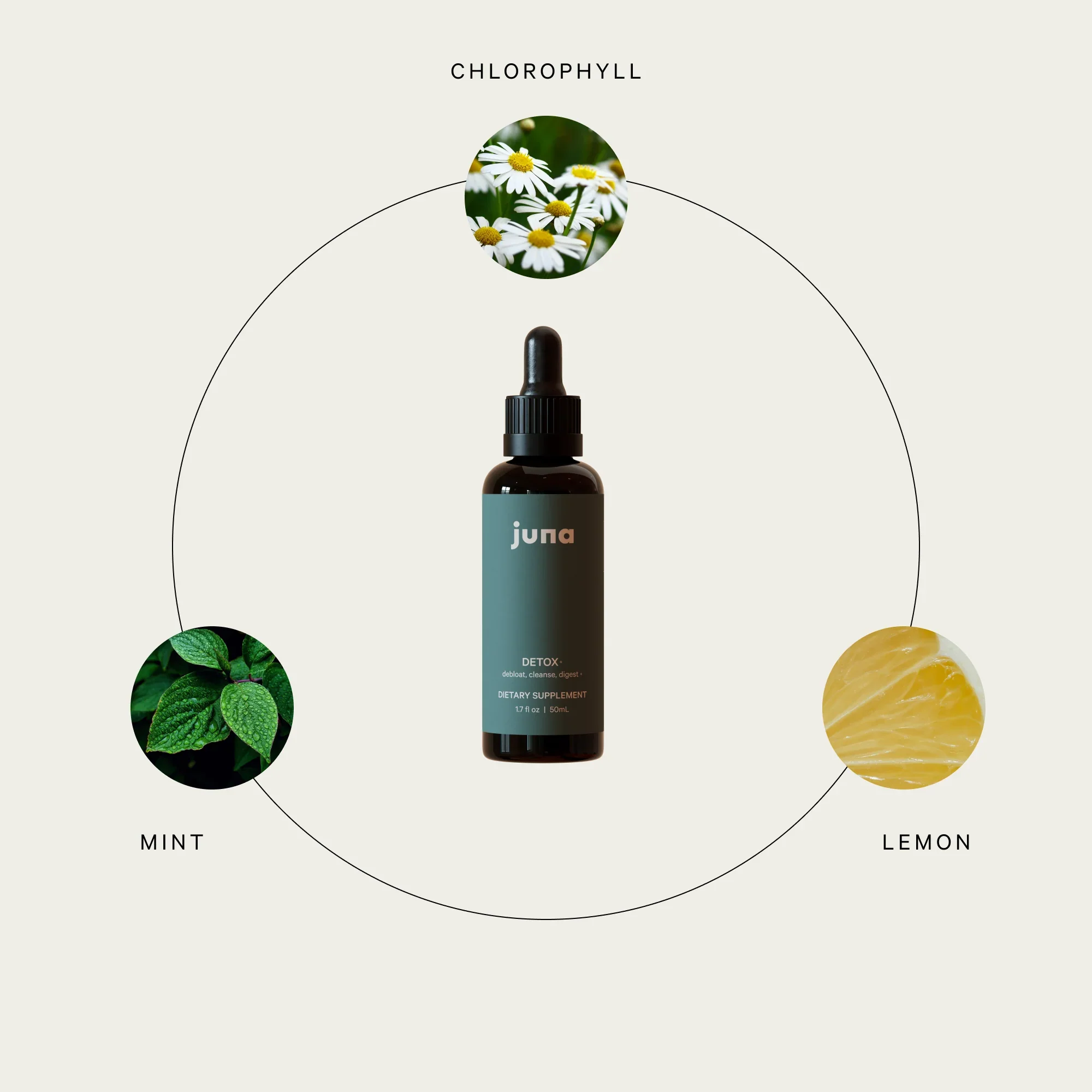 Detox Drops - Image 3
