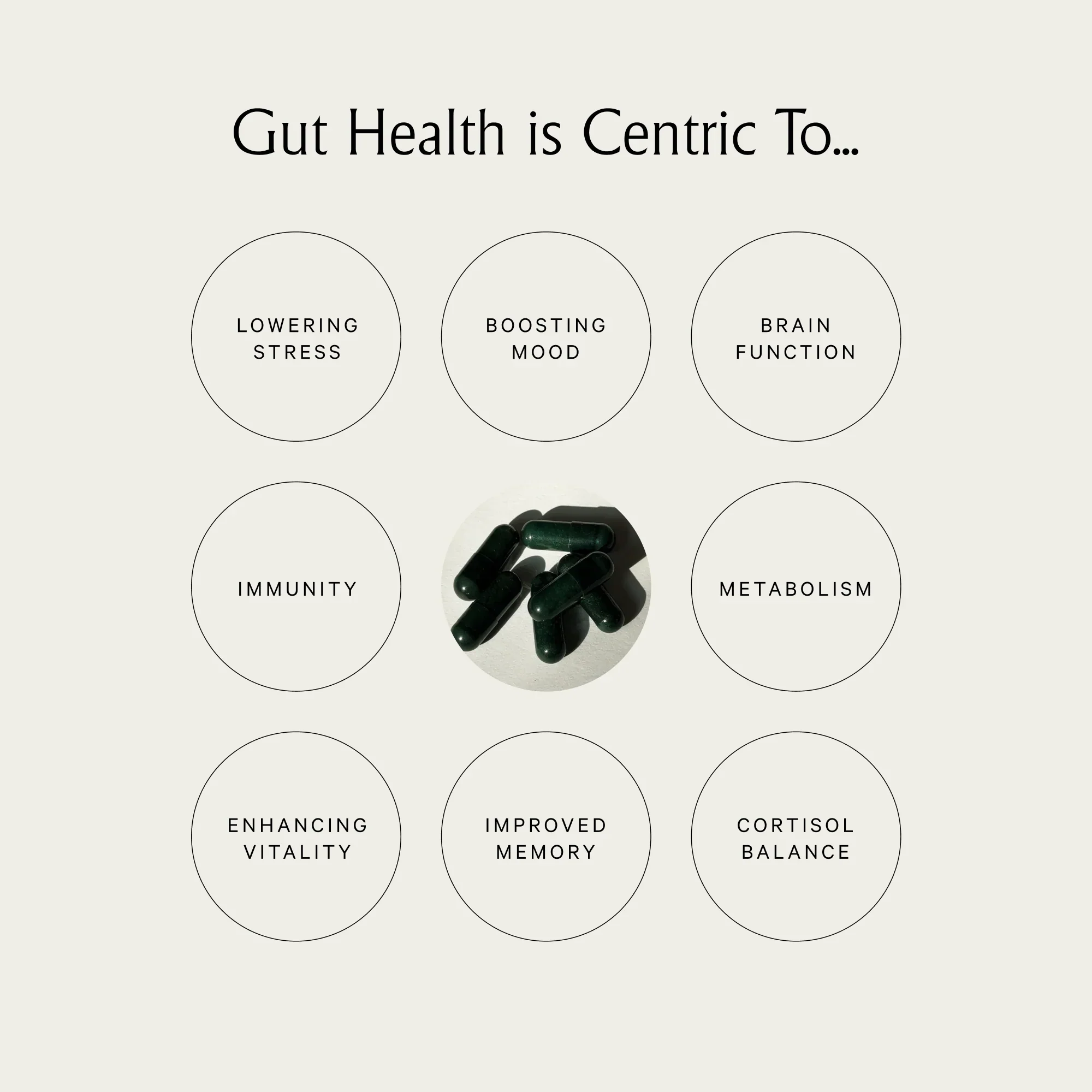 Gut Therapy - Image 3