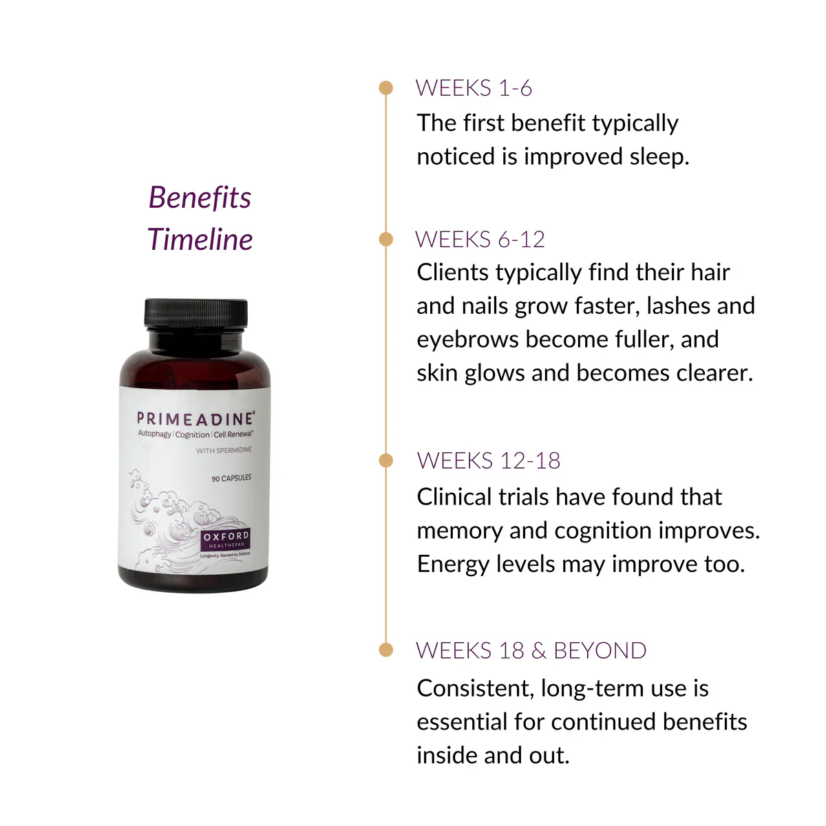 Primeadine® Original Spermidine Anti Aging  Supplement - Image 3