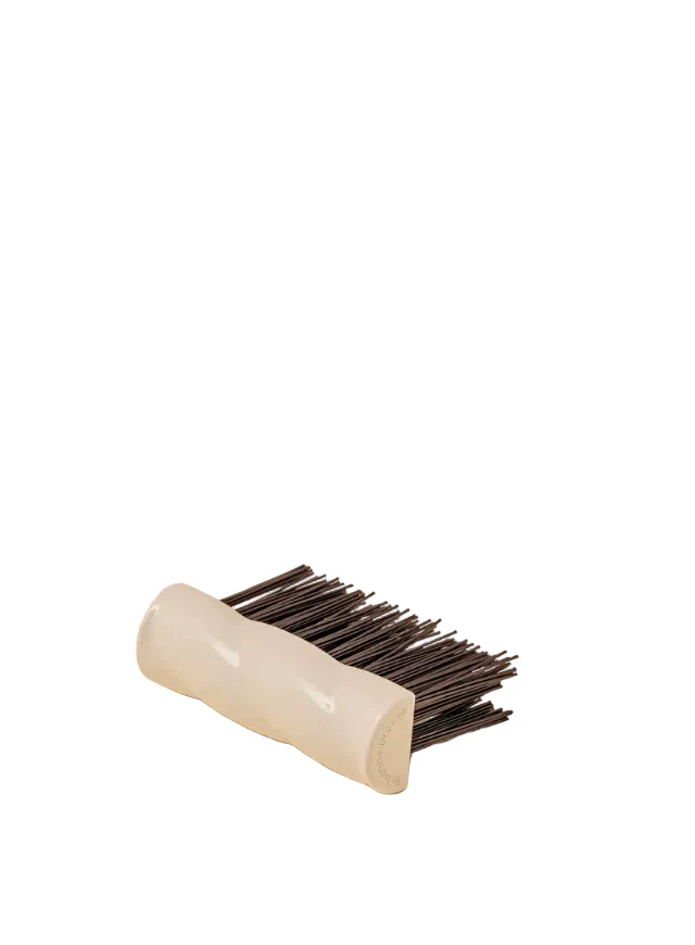 The Cleaning Brush
